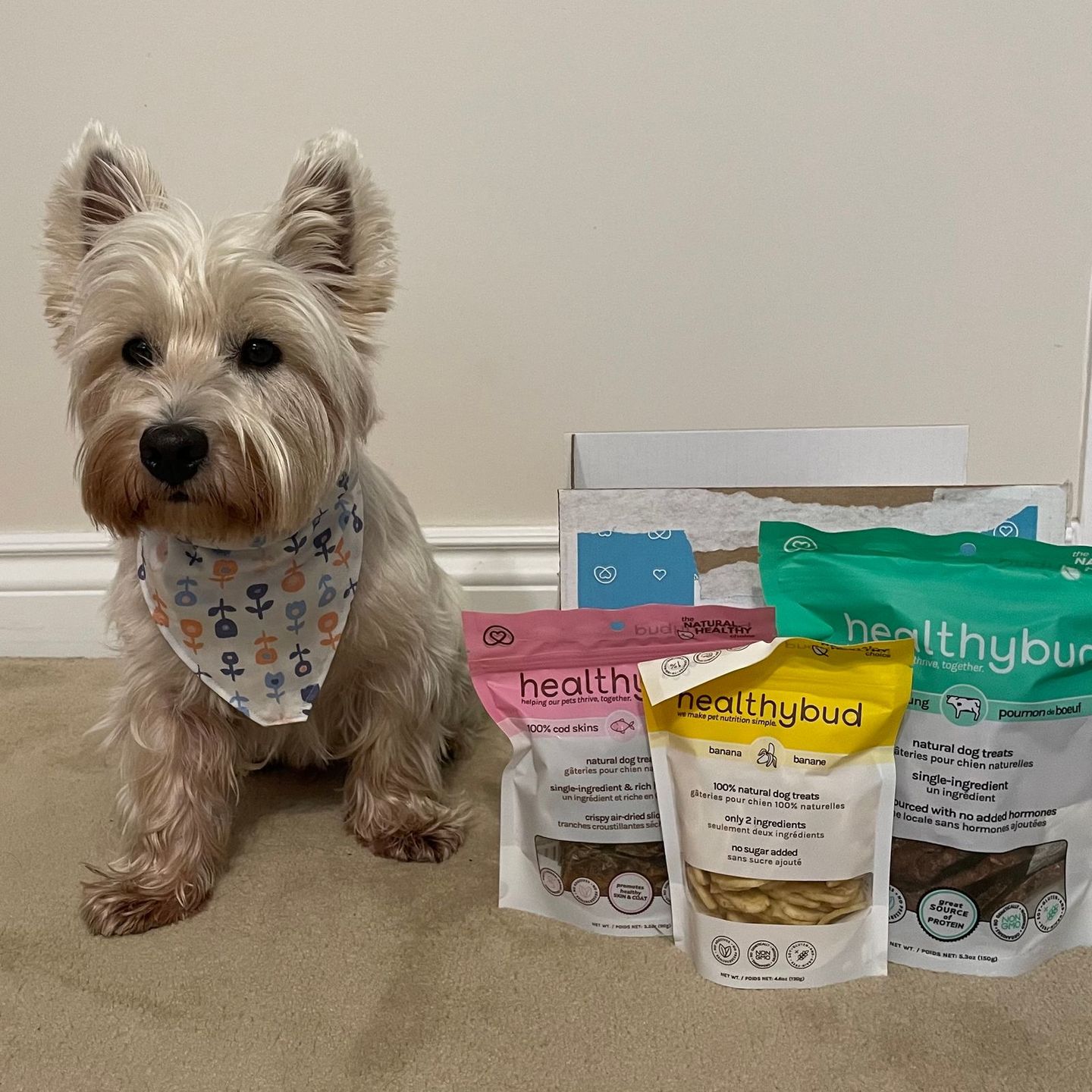 Customer photo review of Banana Chips