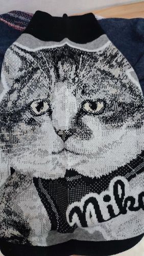 Customer photo review of Full-Body Pet Custom Sweater
