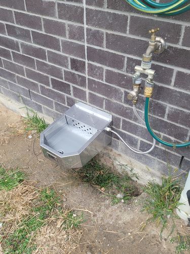 Customer photo review of Pet Rehydration Station