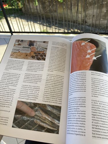 Customer photo review of BBQ4All Magazine - abbonamento mensile