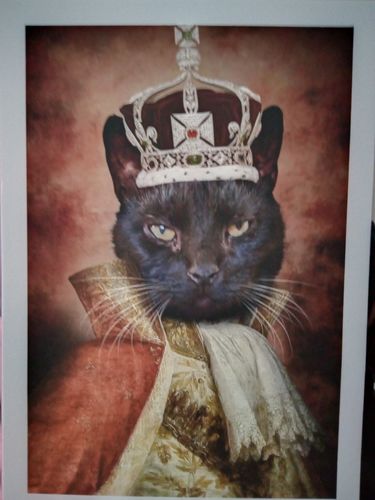 Customer photo review of The King - Custom Vintage Pet Portrait