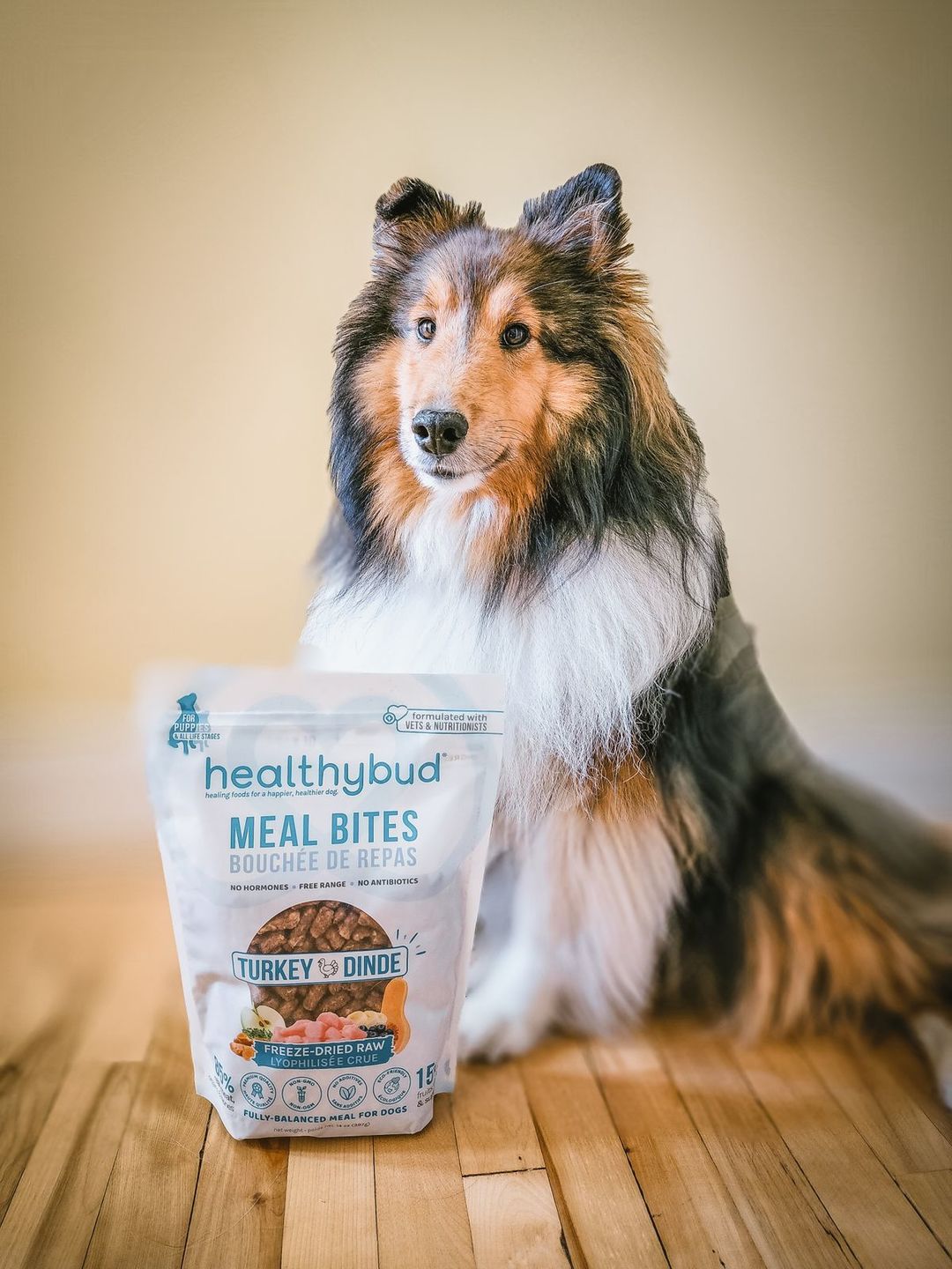 Customer photo review of Turkey Meal Bites