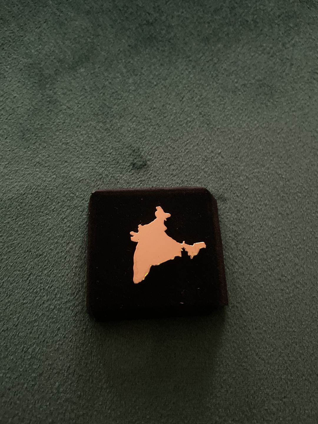 Customer photo review of Lapel Pin India Map