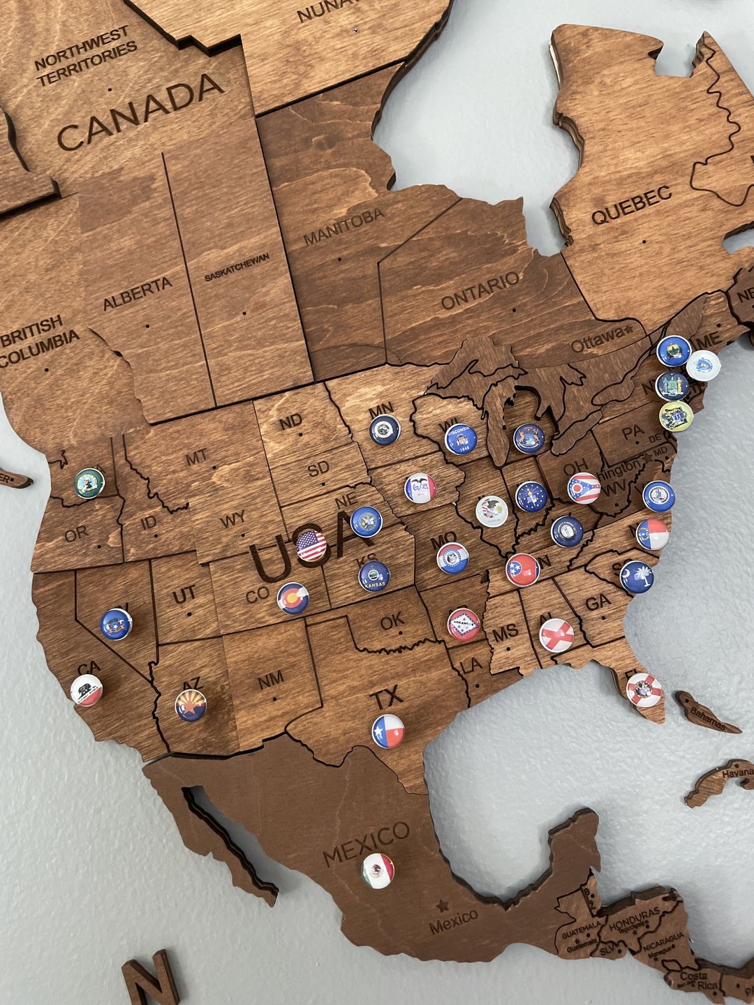 Customer photo review of USA Flags Push Pins