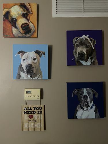 Customer photo review of Custom Wrapped PetCanva