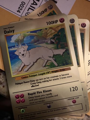 Customer photo review of Pokepet