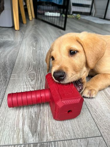 Customer photo review of The Fenrir Hammer