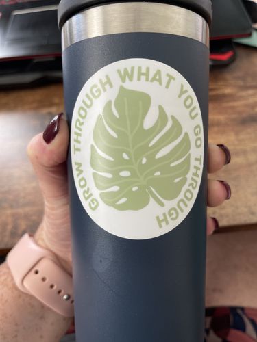 Customer photo review of Bundle Pack of Stickers