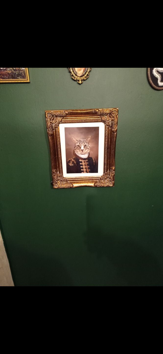 Customer photo review of The Count: Custom Pet Portrait