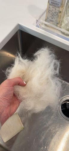 Customer photo review of Fur Deshedding Tool for Dogs