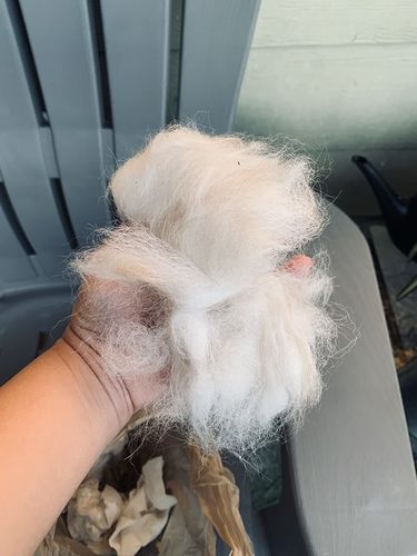 Customer photo review of Fur Deshedding Tool for Dogs