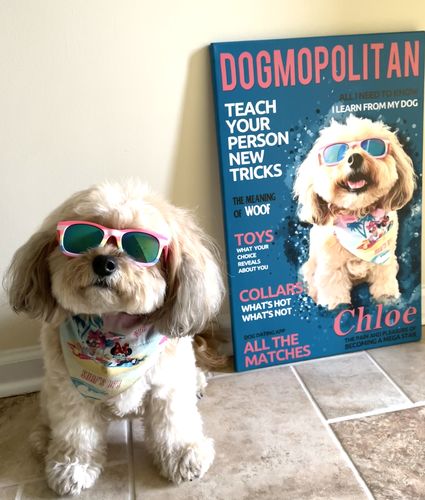 Customer photo review of Custom Pet Magazine Cover