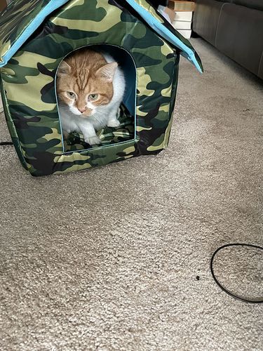 Customer photo review of Waterproof Pet House | Portable Dog Kennel