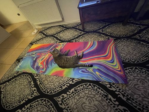 Customer photo review of Mat de Entrenamiento ORX