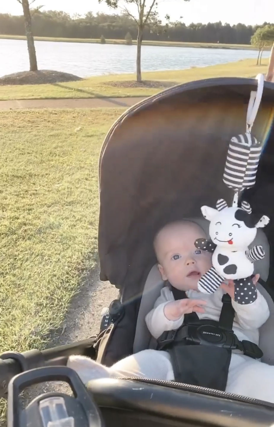 Customer photo review of Hanging Plush Toy - "Casey the Cow"