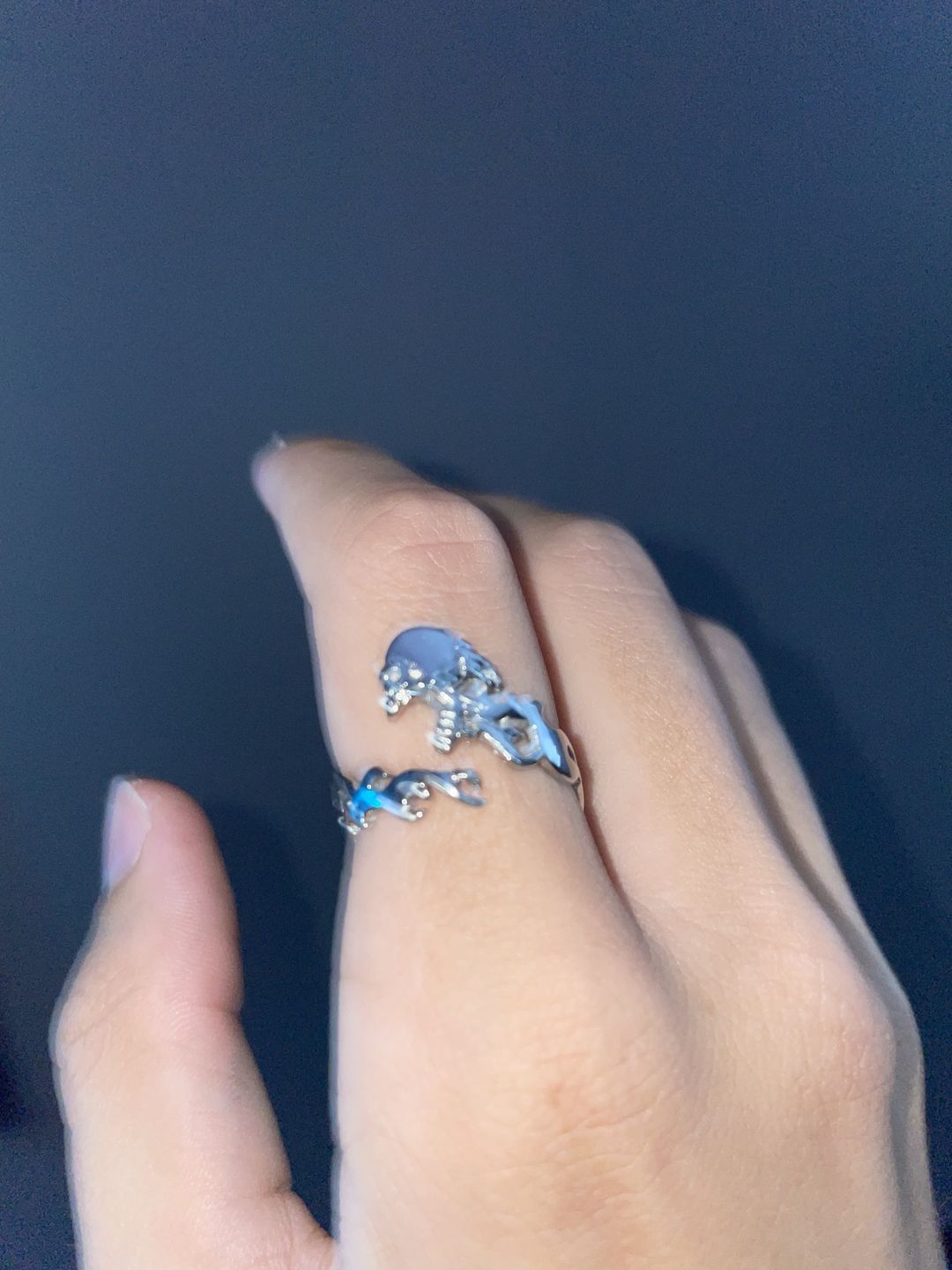 Customer photo review of LIFE ON FIRE RING