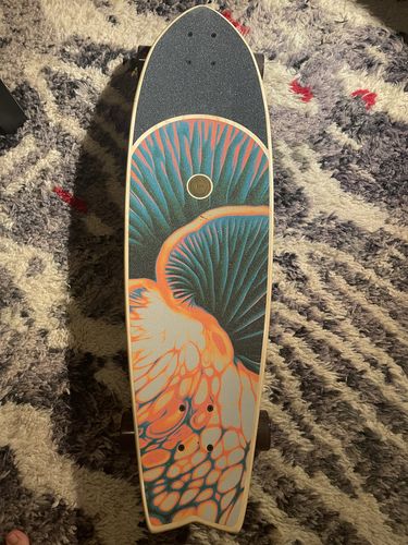 Customer photo review of Globe Chromantic Bio-Morph 33 inch Kicktail Cruiser Longboard