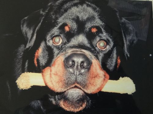 Customer photo review of Eden Original Cuisine