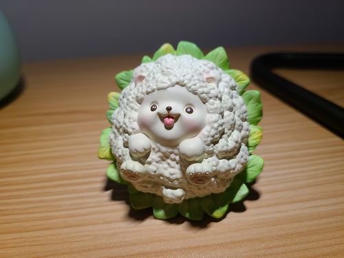 Customer photo review of World Of Vegetable Blind Box