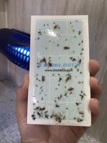 Customer photo review of Shieldeck® WallTrap - Plug-In Indoor Flying Insects Smart UV Trap