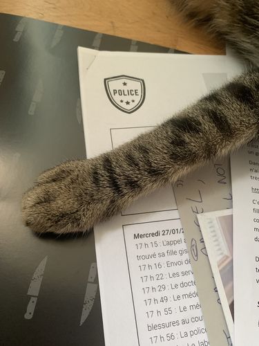 Customer photo review of Dossier Diplômées (analogique)