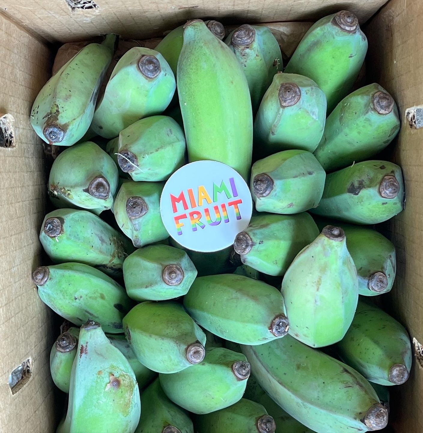 Customer photo review of Freeze Dried Cacao