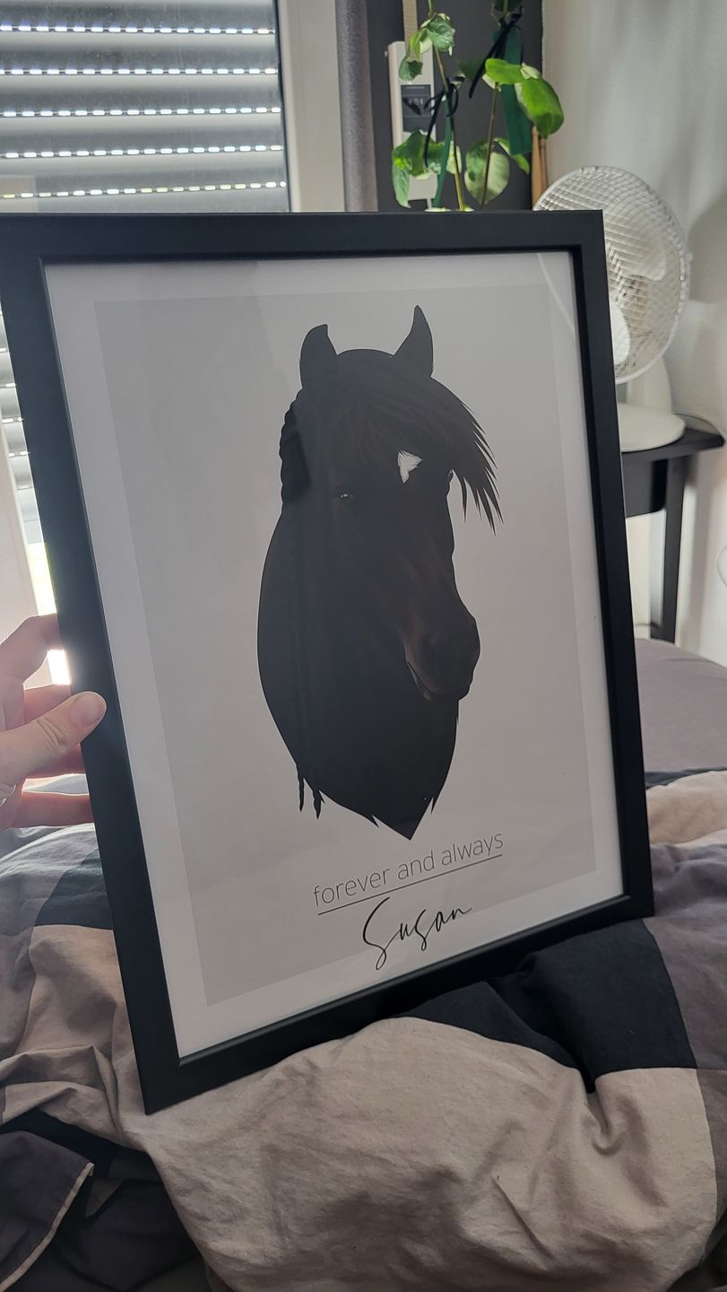 Customer photo review of Portrait deines Tieres
