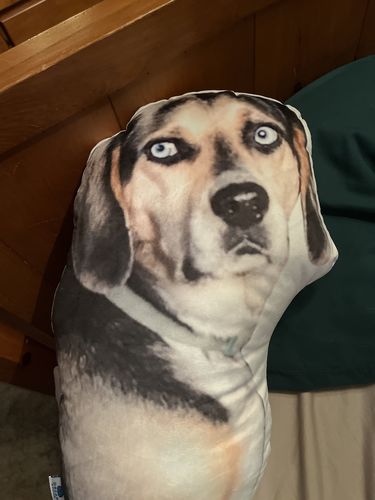 Customer photo review of Create A Custom Dog Pillow
