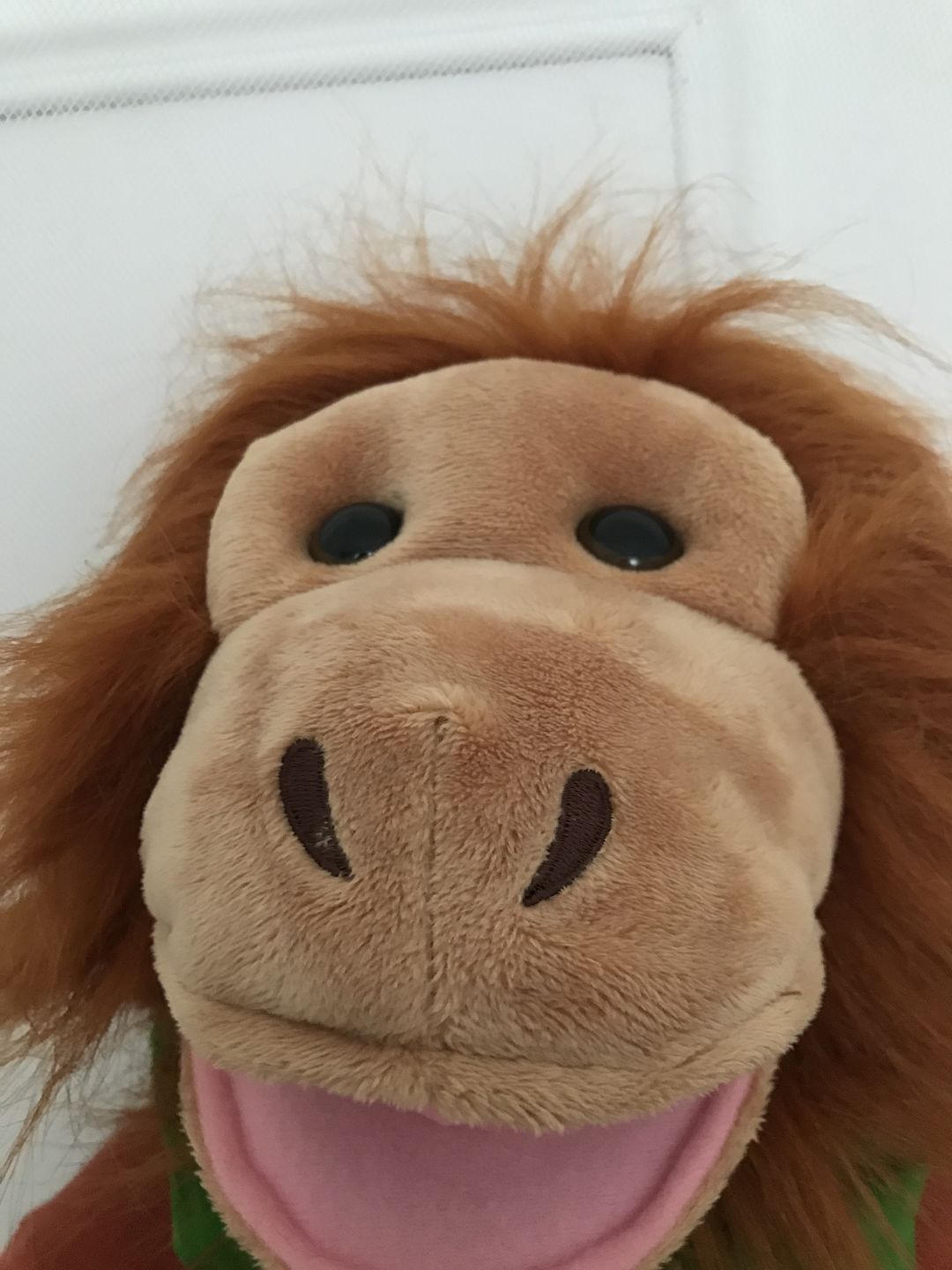 Customer photo review of Orang-outan Marionnette
