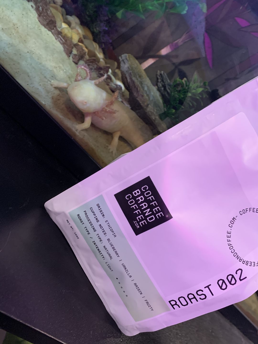 Customer photo review of 002