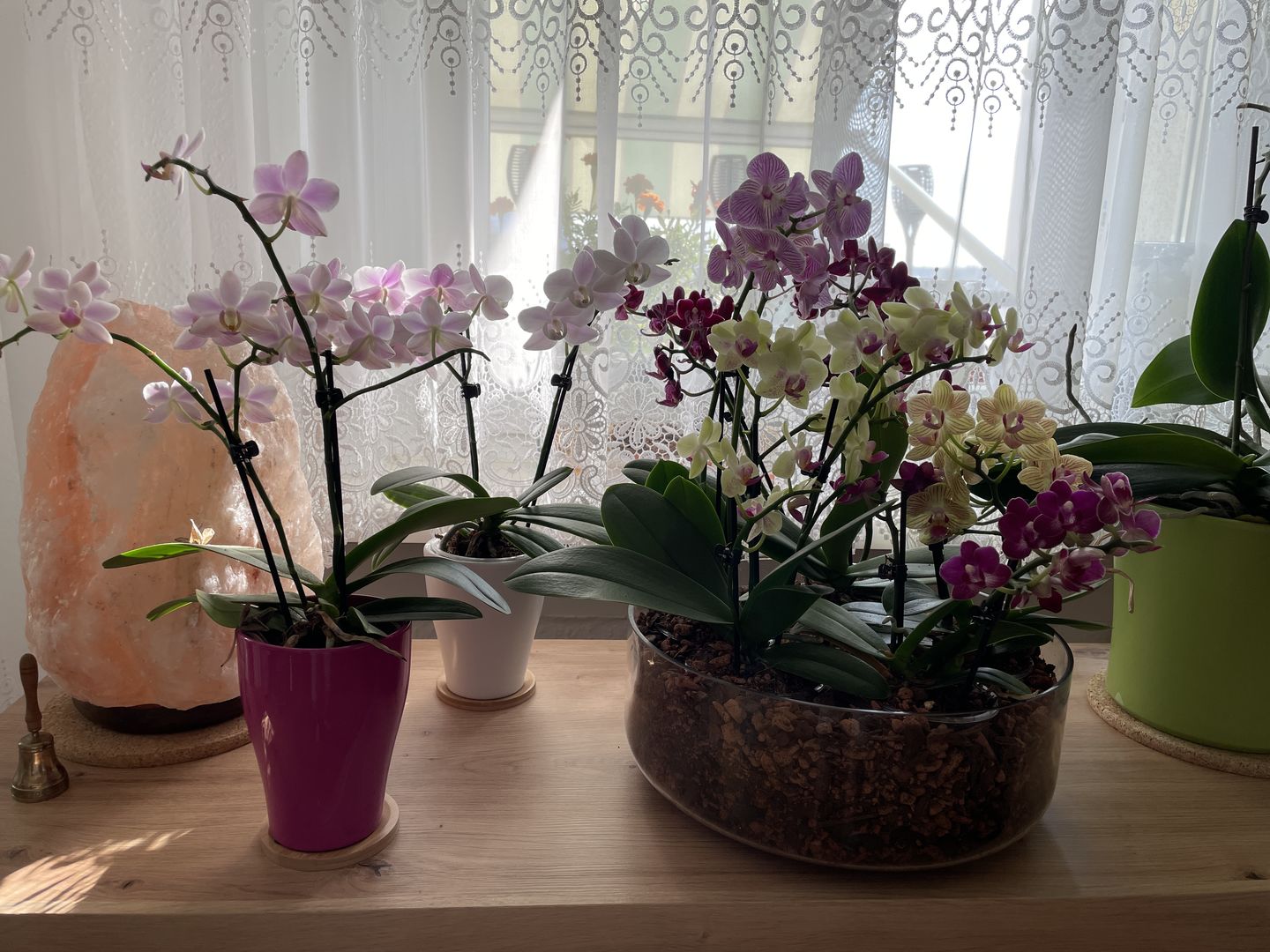 Customer photo review of Table Dance Angel Eyes mit zartrosa Blüten mit 2+ Stielen