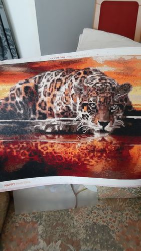 Kundenbewertung mit Foto zu Leopard im Wasser | Schnelle Lieferung