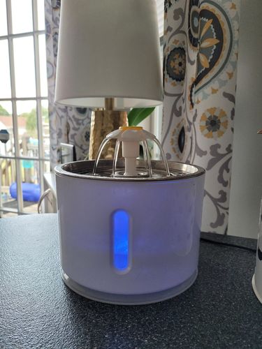 Customer photo review of Cat Flower Fountain Replacement Filters