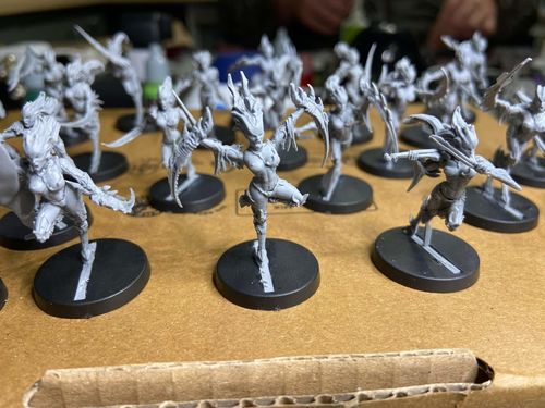 Customer photo review of Mantis Warriors - TROOPS, TGG2 Ed. (LE - F/SF)