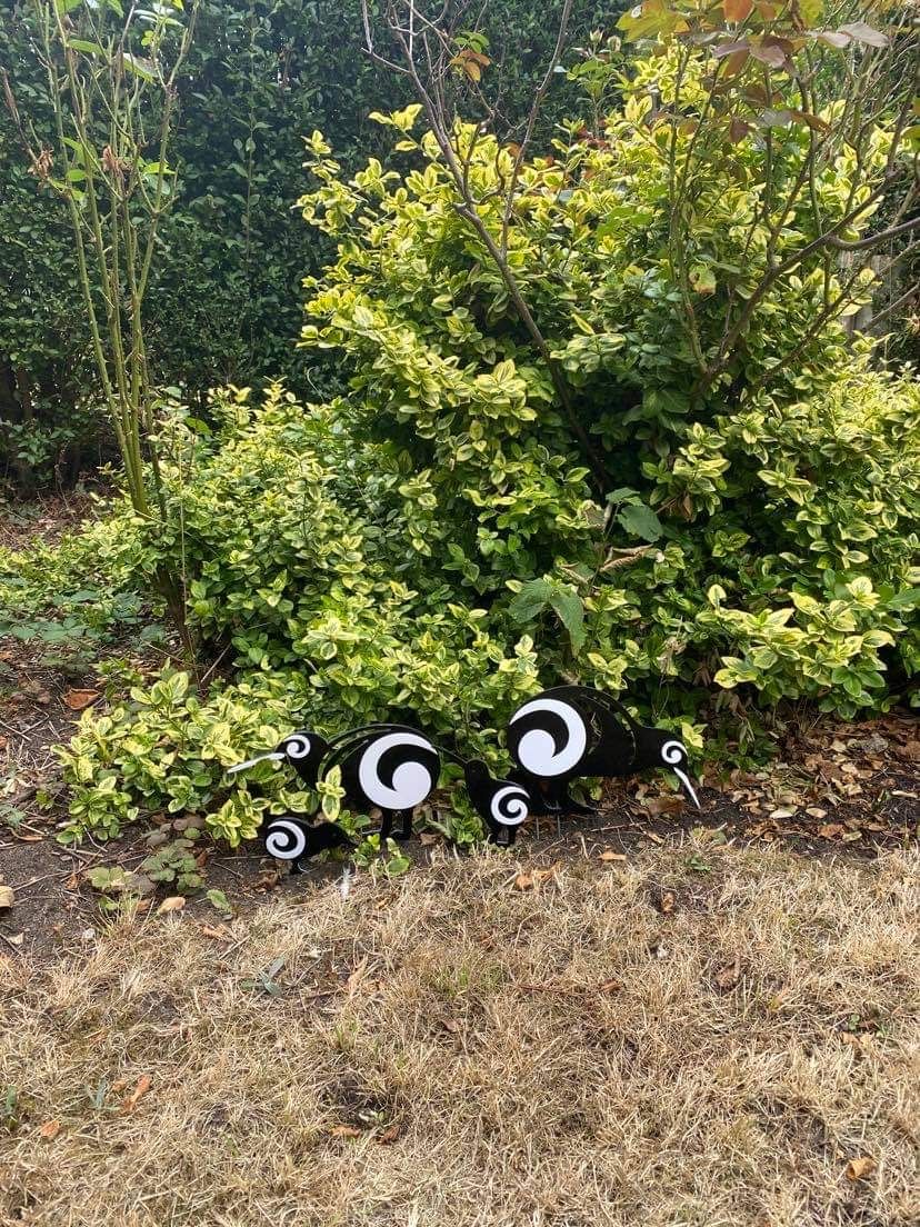 Customer photo review of Set of Aluminium Kiwi Bird Garden Ornaments