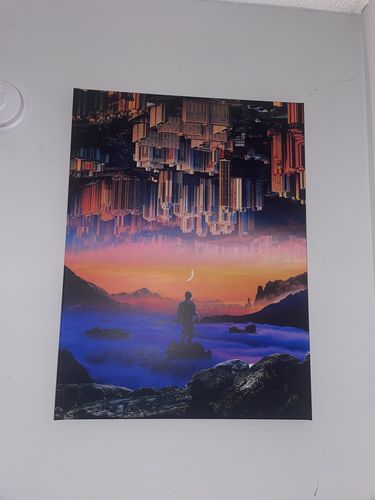 Customer photo review of Everything is Upside Down Canvas Art
