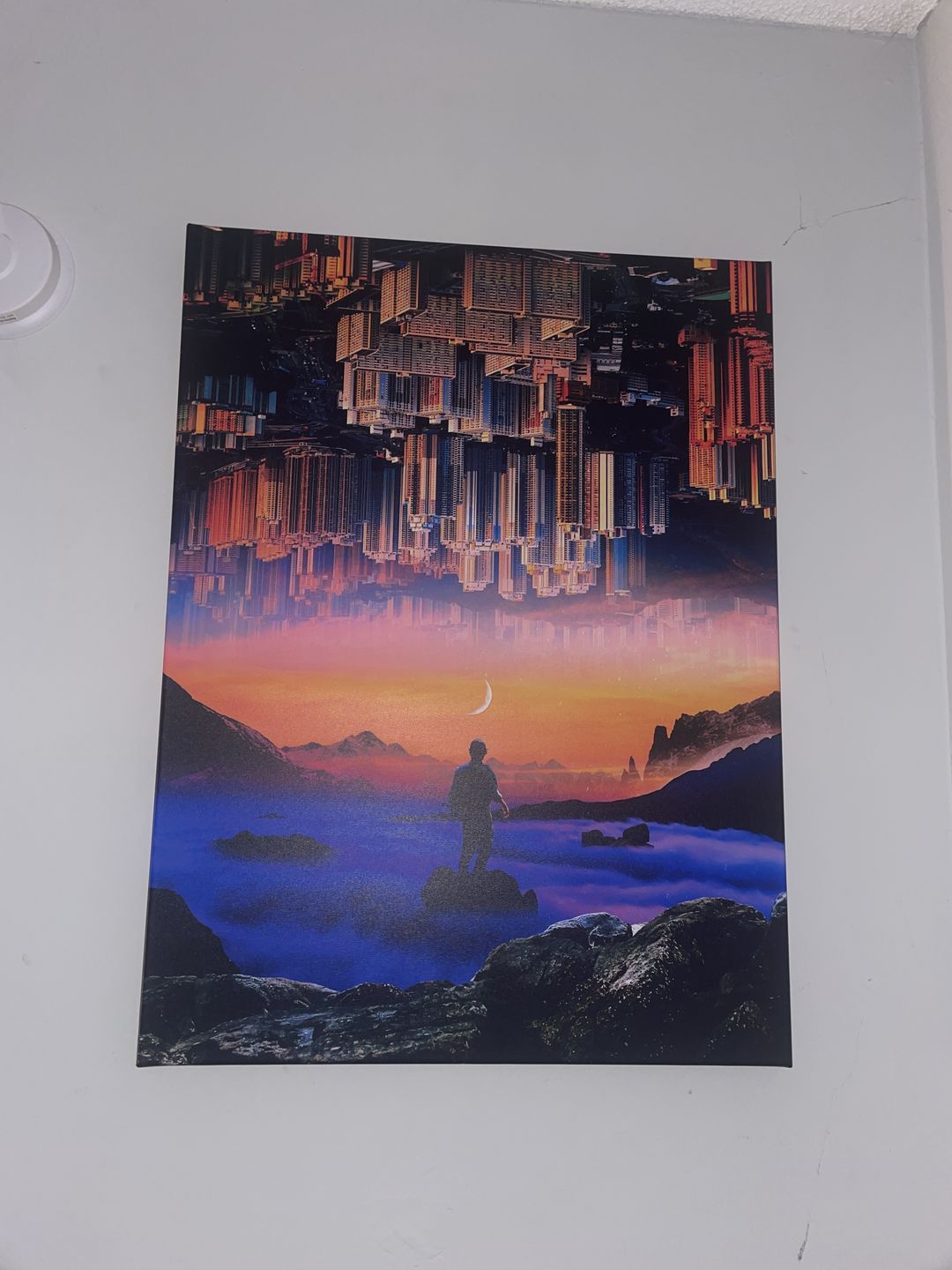 Customer photo review of Everything is Upside Down Canvas Art