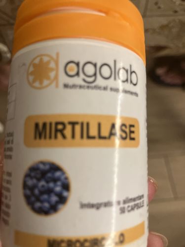 Customer photo review of Mirtillase - Microcircolo
