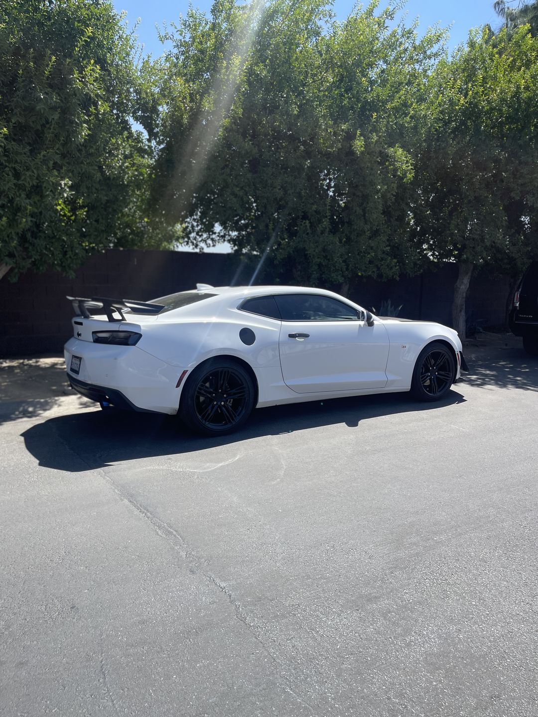 Customer photo review of Camaro Zl1 1LE Rear Trunk Spoiler High Wing