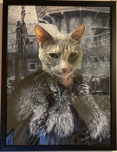 Customer photo review of The North Queen - Custom Vintage Pet Portrait