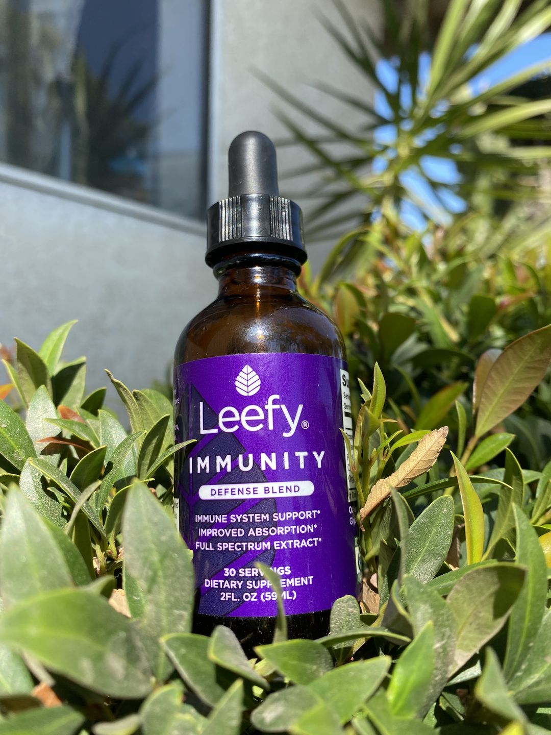 Customer photo review of IMMUNITY DEFENSE BLEND