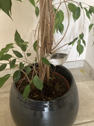 Customer photo review of Mon petit oiseau - Le Jardin de Mamie®