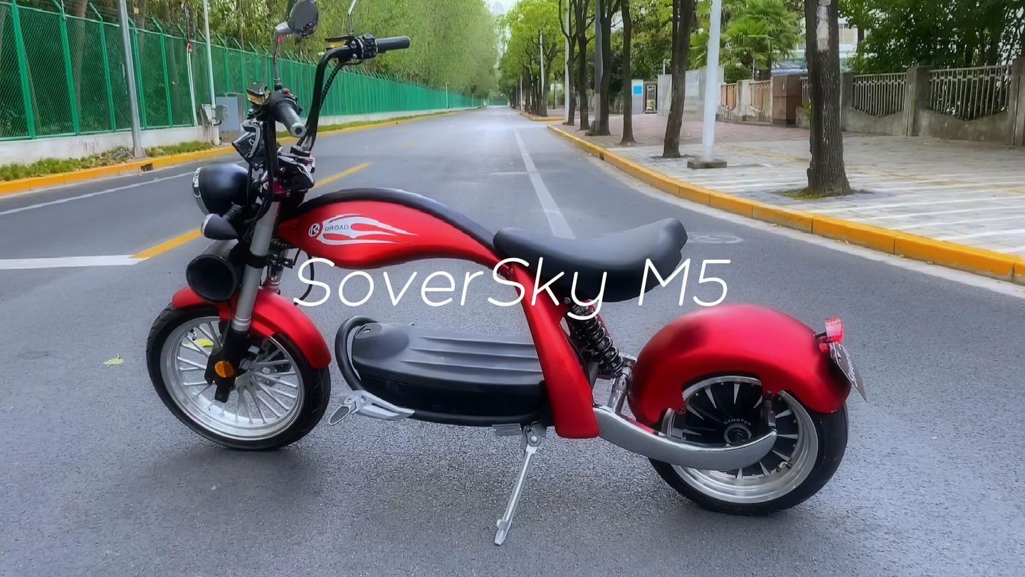 Customer photo review of SoverSky M5 Lithium Chopper Fat Tire Scooter