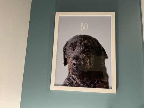 Customer photo review of Classic - Custom Pet Portrait
