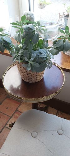 Customer photo review of Mon petit oiseau - Le Jardin de Mamie®