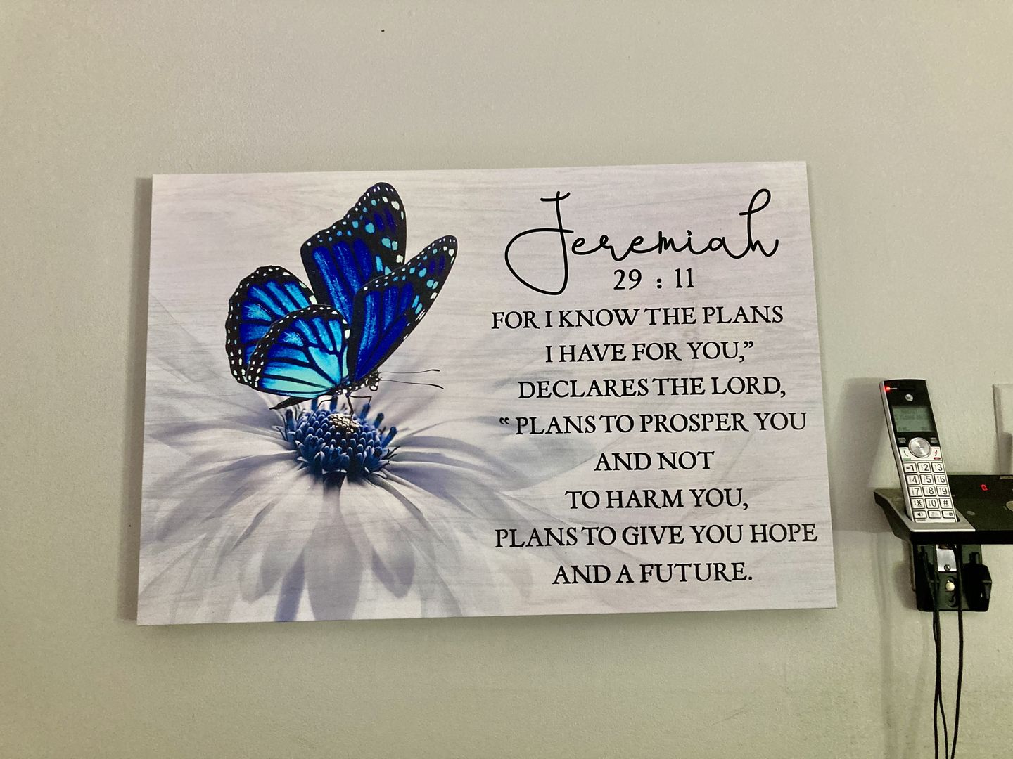 Customer photo review of For I know the plans I have for you Jeremiah 29:11 Butterfly wall art canvas