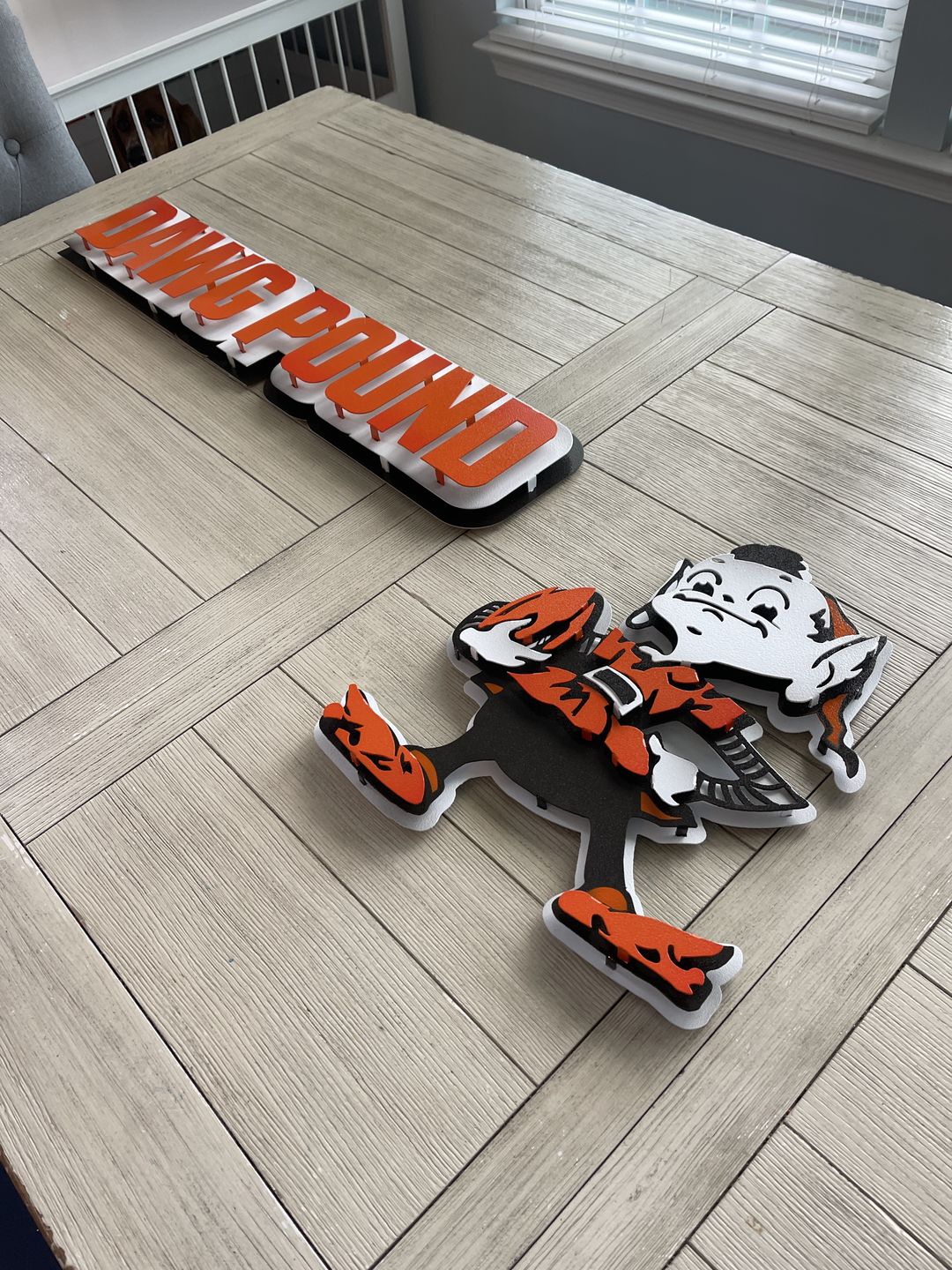 Customer photo review of Cleveland Browns "DAWG POUND" 3D Vintage Metal Wall Art