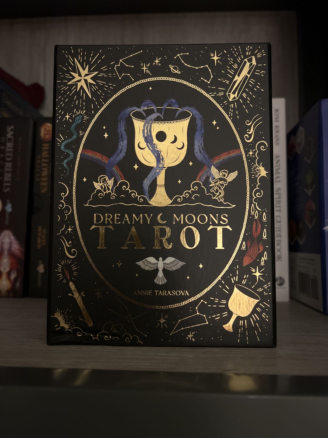 Customer photo review of Dreamy Moons Tarot
