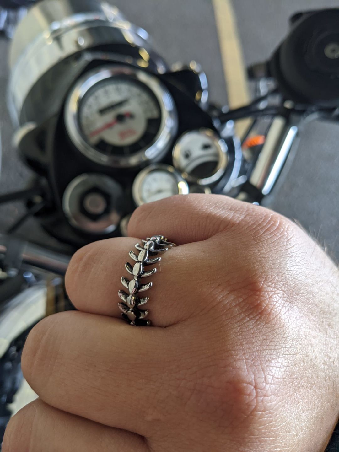 Customer photo review of STEEL SPINE.