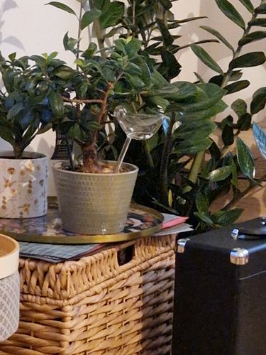 Customer photo review of Mon petit oiseau - Le Jardin de Mamie®